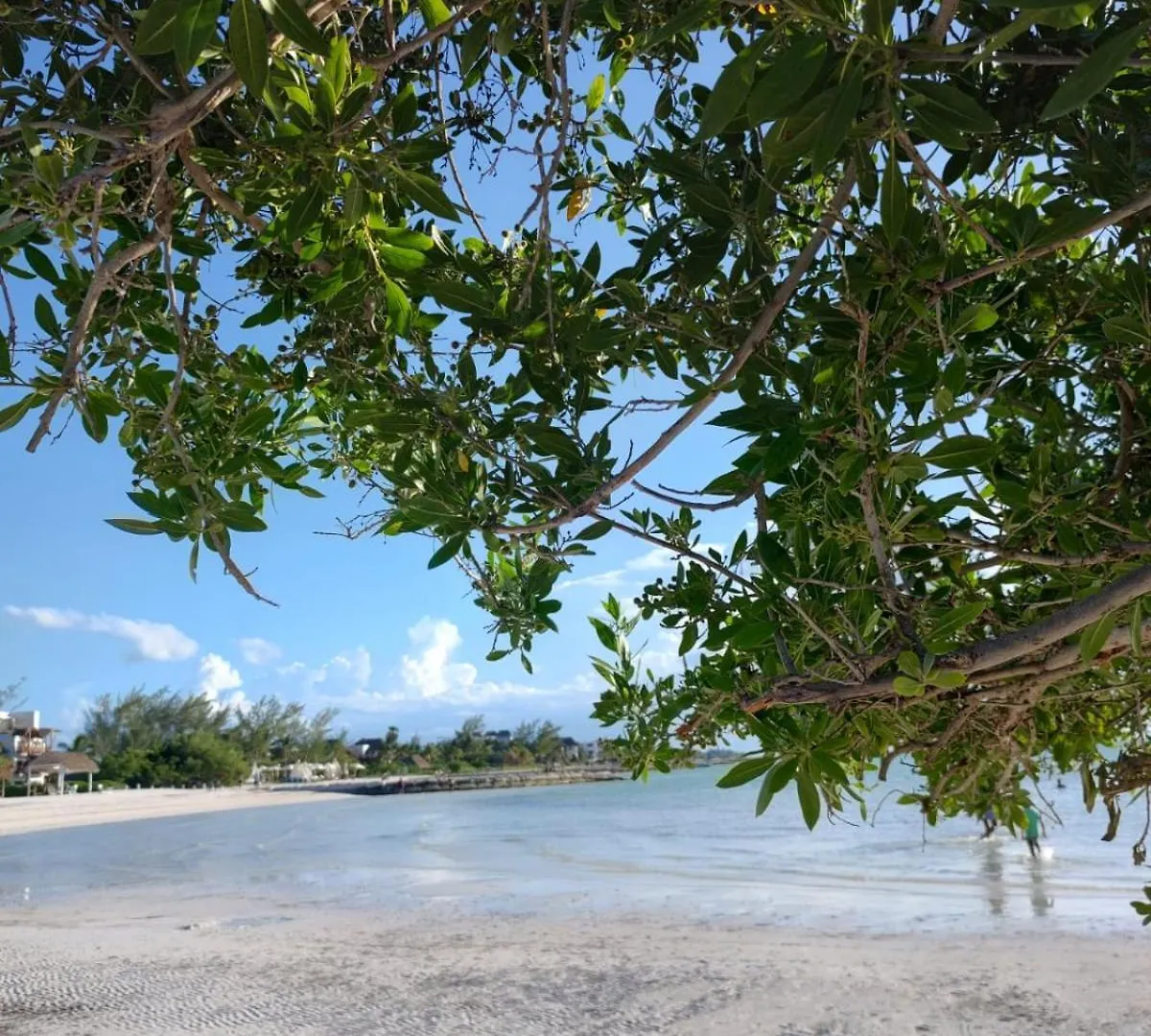 Aparthotel Casa Aloha-Isla Holbox