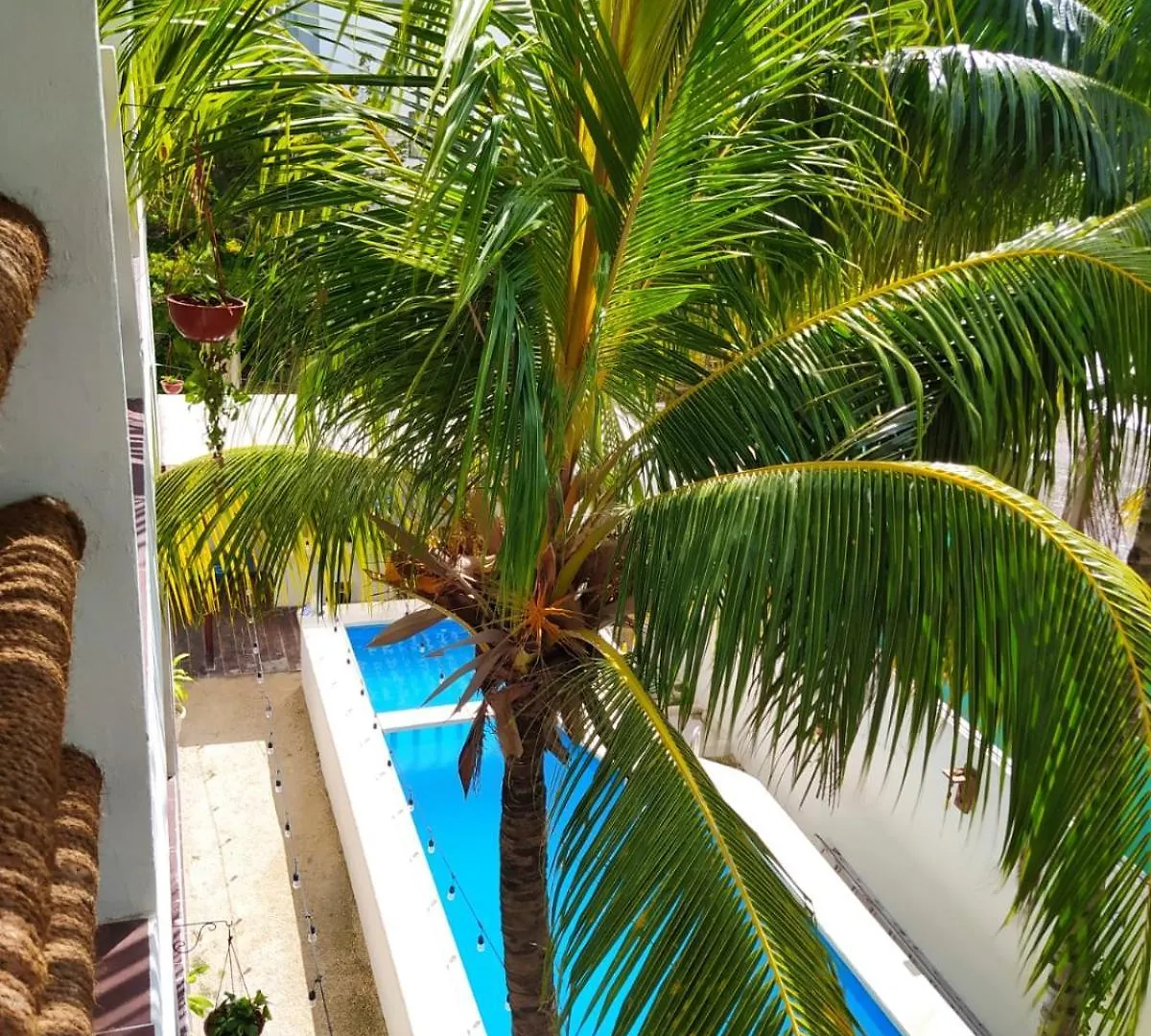 Aparthotel Casa Aloha-Isla Holbox