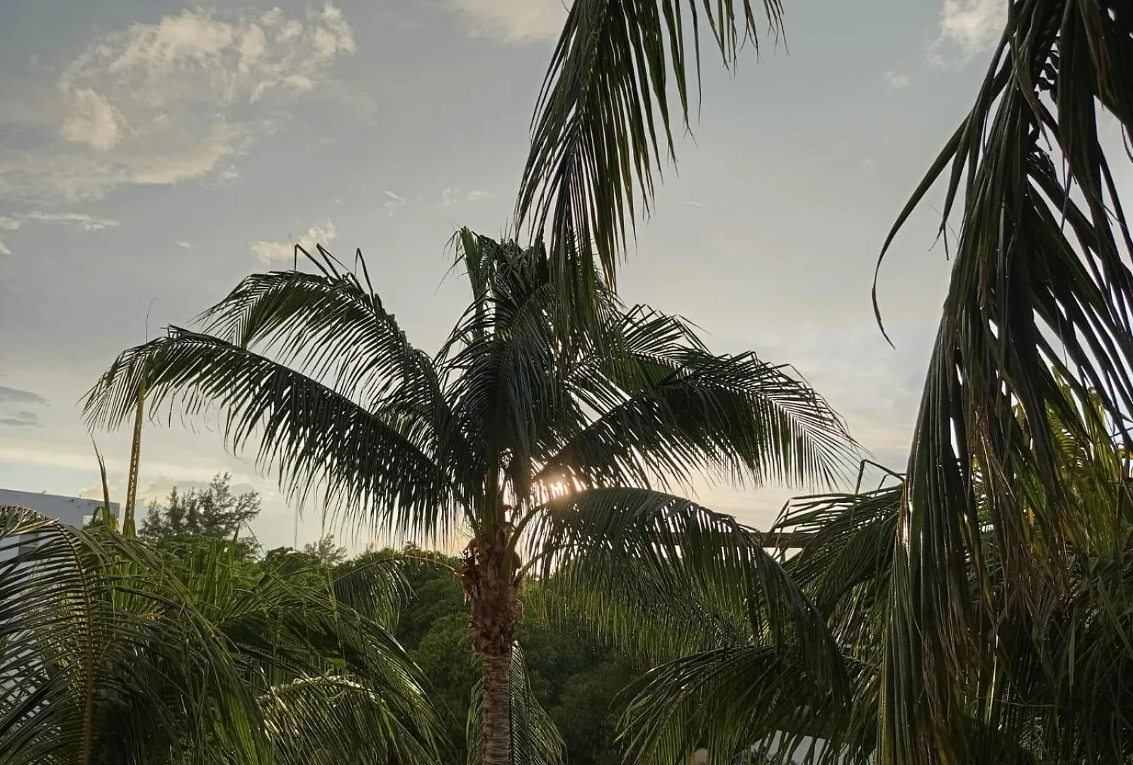 Aparthotel Casa Aloha-Isla Holbox