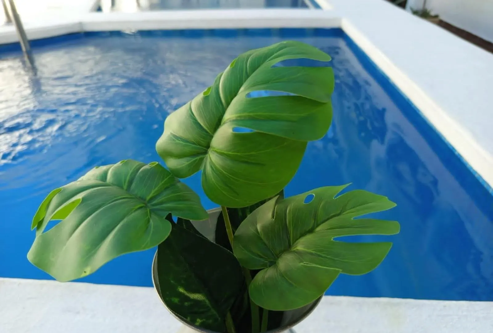 Aparthotel Casa Aloha-Isla Holbox