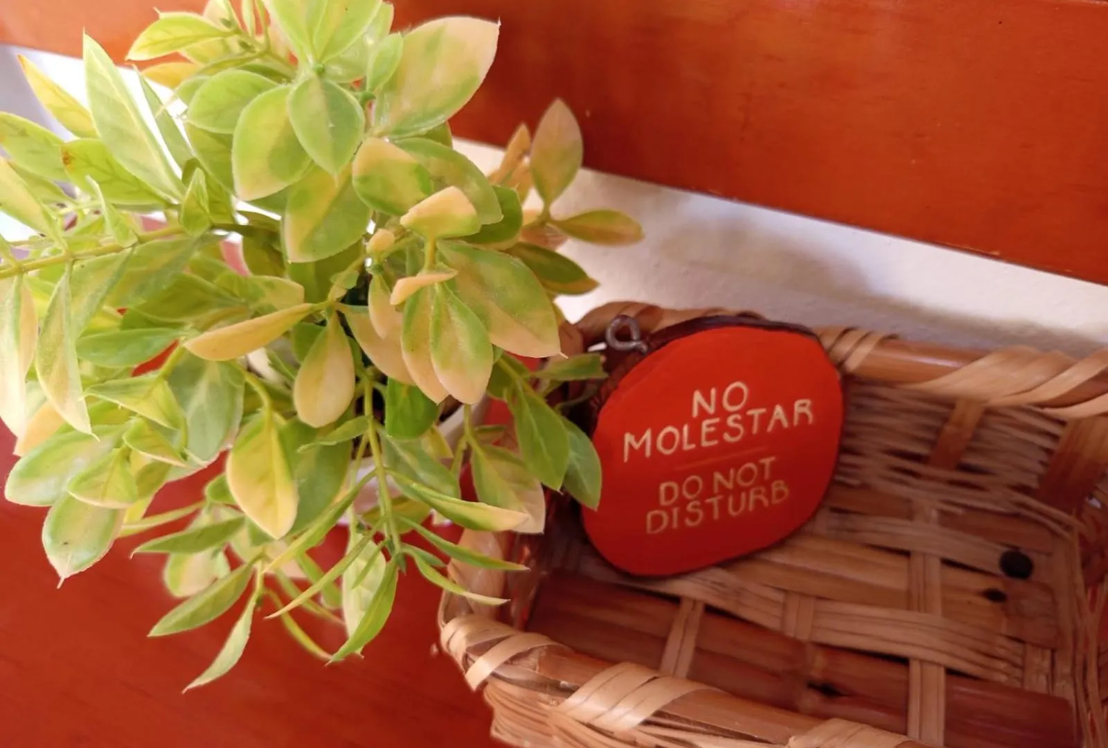 Casa Aloha-Isla Holbox Aparthotel 0*,  Mexico