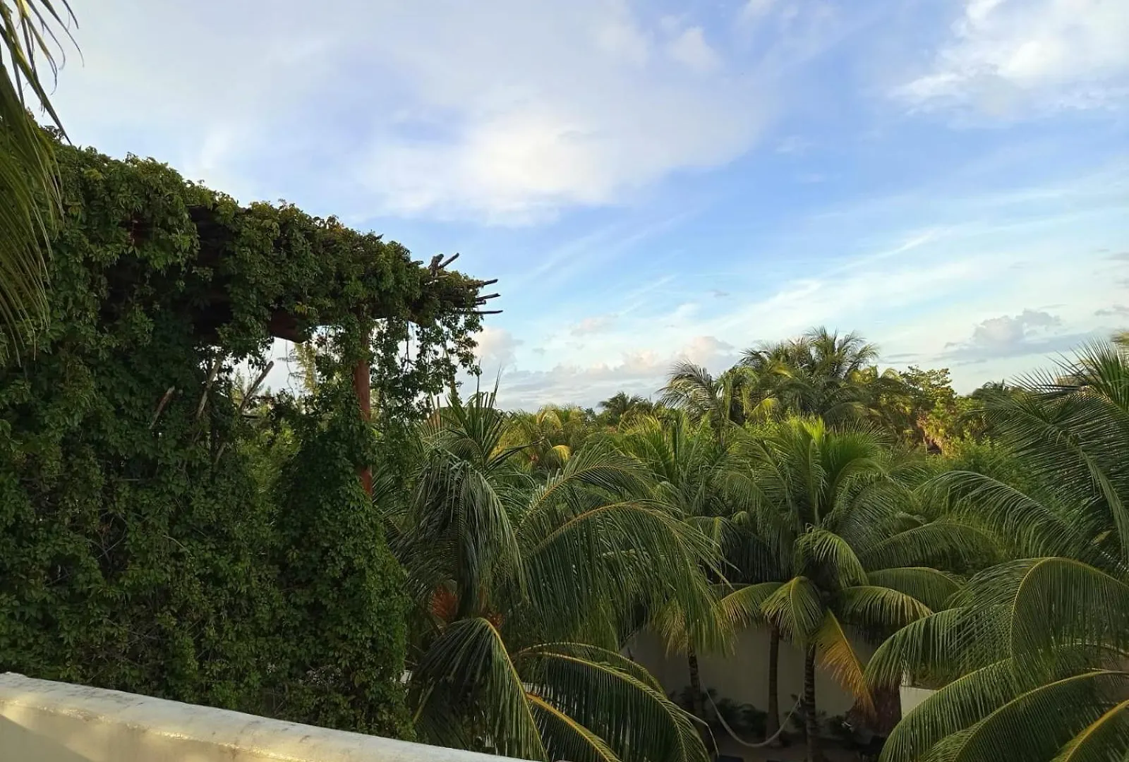 Casa Aloha-Isla Holbox location